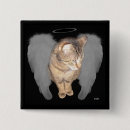 Recherche de ange de chat badges Chaton