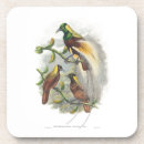 Recherche de oiseau exotique dessous de verres Amoureux des oiseaux