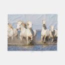 Recherche de caballus Ranch