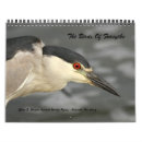 Recherche de refuge photographie Nature