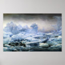 Recherche de kayak de mer posters Nature