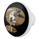Recherche de pop art boutons et poignées de porte Animal