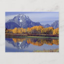 Recherche de tom cartes postales Paysage