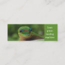 Recherche de gecko cartes visite Nature