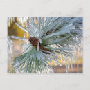 Recherche de aiguilles cartes postales Hiver