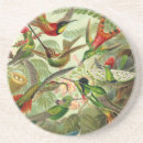 Recherche de haeckel dessous de verres Kunstformen der natur