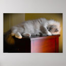Recherche de sommeil posters Taper