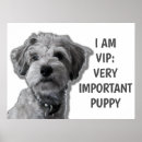 Recherche de chien drôle art Citer