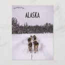 Recherche de chien neige cartes postales Chiens