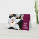 Recherche de orchidée blanche vœux cartes Floral