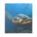 Recherche de tortues blocsnotes Côtier