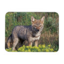Recherche de le parc du sud magnets Pn
