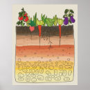 Recherche de potager posters Jardin