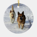 Recherche de berger allemand ornements Neige