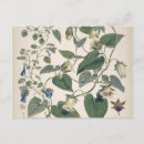 Recherche de asie vœux cartes Fleurs