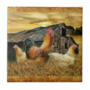 Recherche de poules carreaux Pour tous