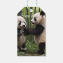 Recherche de panda étiquettes cadeau Bambou
