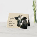 Recherche de vache anniversaire cartes Holstein