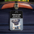 Recherche de bébé bagages étiquettes Mignon