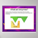 Recherche de enzyme Éducation