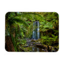 Recherche de forêt magnets Cascade