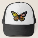 Recherche de papillon magnifique Papillons