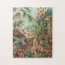 Recherche de der puzzles Kunstformen der natur