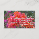 Recherche de island cartes visite Tropical