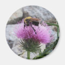 Recherche de chardon magnets Fleur