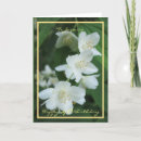 Recherche de fleur de jasmin vœux cartes Pour elle