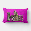 Recherche de suricates coussins Faune