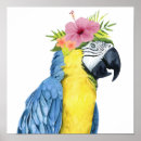 Recherche de perroquet tropical posters Oiseaux