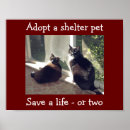 Recherche de adoption de chien posters Animaux de compagnie