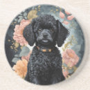 Recherche de caniche dessous de verres Dog