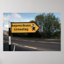 Recherche de leprechaun posters Irish