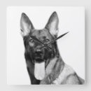 Recherche de chien de berger allemand horloges Animal