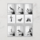 Recherche de sale cartes postales Animaux