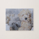 Recherche de goldendoodle puzzles Labradoodle