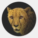 Recherche de taches guépard autocollants Animal