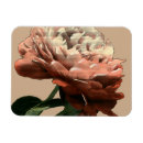 Recherche de accent magnets Floral