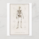 Recherche de squelette vintage cartes postales Illustration
