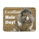 Recherche de humour de cheveux Lapin