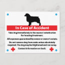Recherche de cage cartes postales Chiens