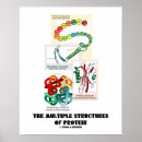 Recherche de protéine posters Biochimie