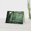 Recherche de piverts cartes postales Arbre