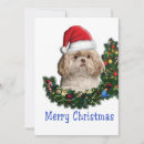 Recherche de shih tzu christmas vœux cartes Chien