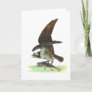 Recherche de faucon vœux cartes Illustration