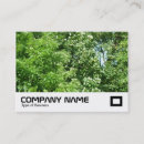 Recherche de se briser cartes visite Moderne