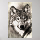Recherche de visage de loup posters Dessin