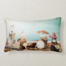 Recherche de de furet coussins Mignon